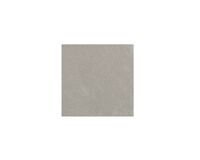 thinbig base vison
