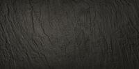 alpes negro 60x120 rec.