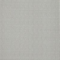 canvas argento