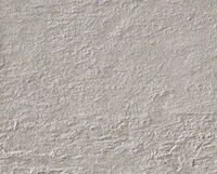 pavé wild grigio