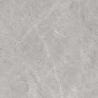 tundra grigio