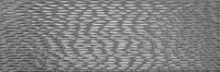 polar silver leaf