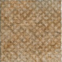 taupe back stripes