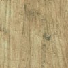 cedar