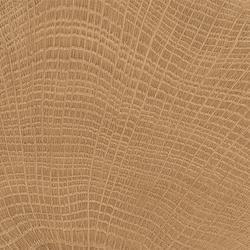 fondo walnut