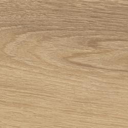 rovere dorato