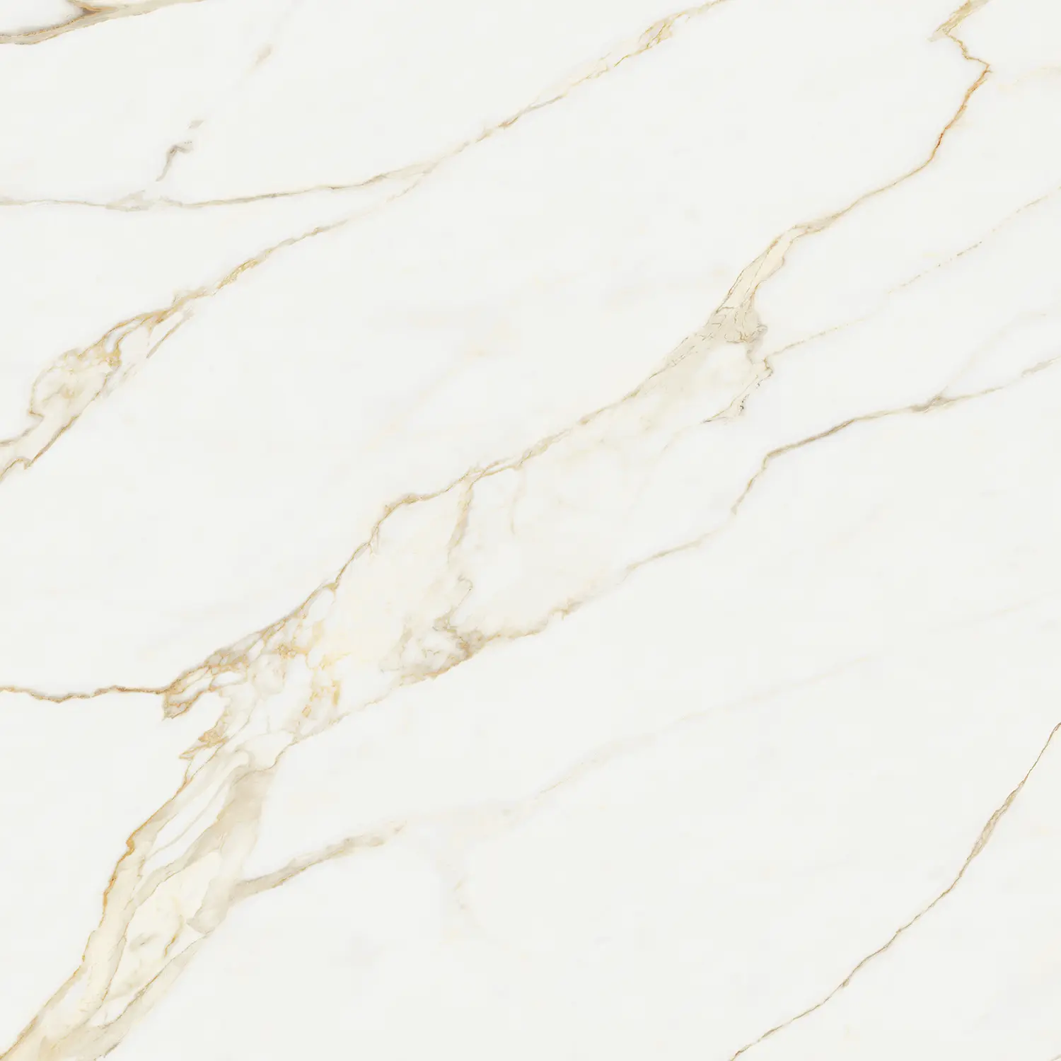 calacatta gold