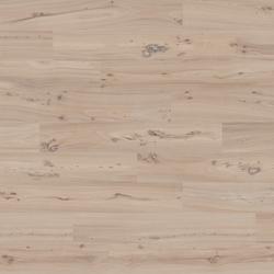 olmo naturale