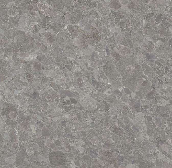 fossil