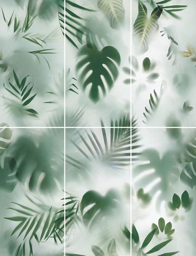 rainforest