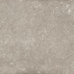 fondo grey