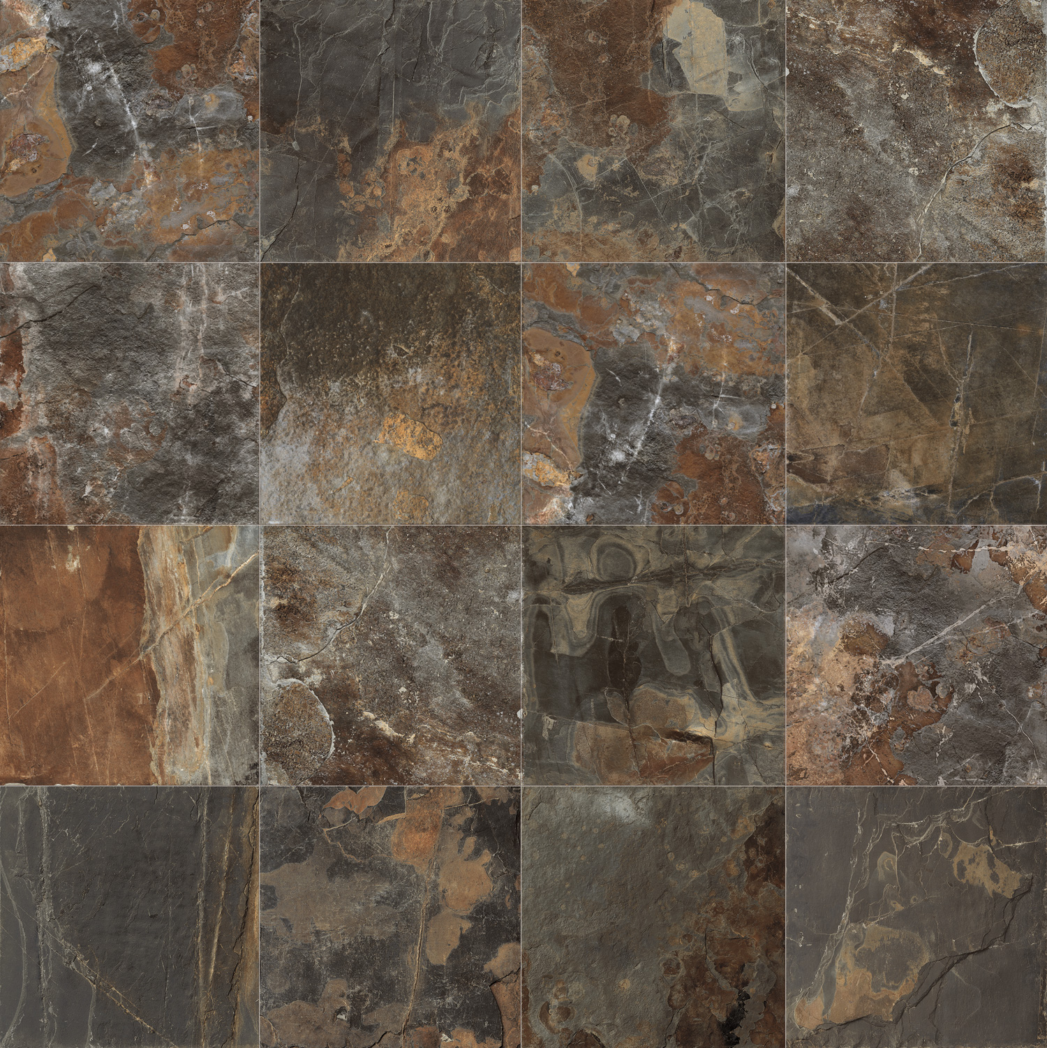 geology / panello fossil