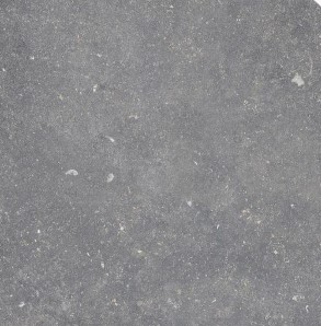 evo gris fonce
