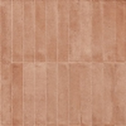 Cotto-MGSS