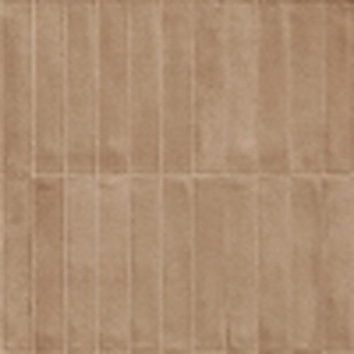 Coccio-MGSQ