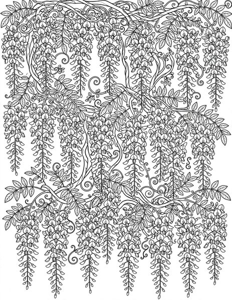 Detailed Wisteria Waterfall coloring page: Wisteria pours down like a waterfall.