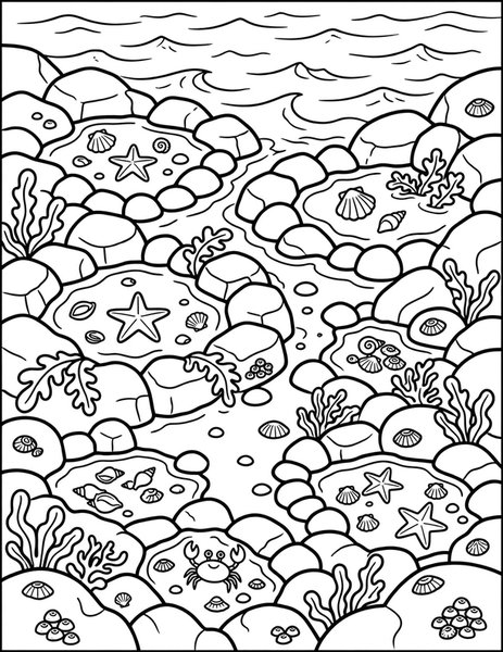 Tide Pools coloring page: Pools hide treasures at low tide.