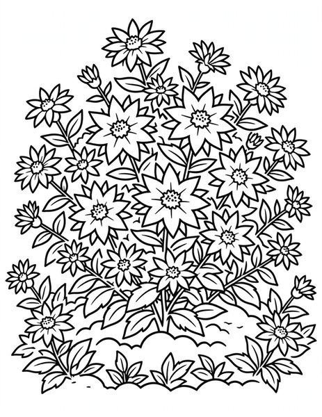 Aster Starfield coloring page