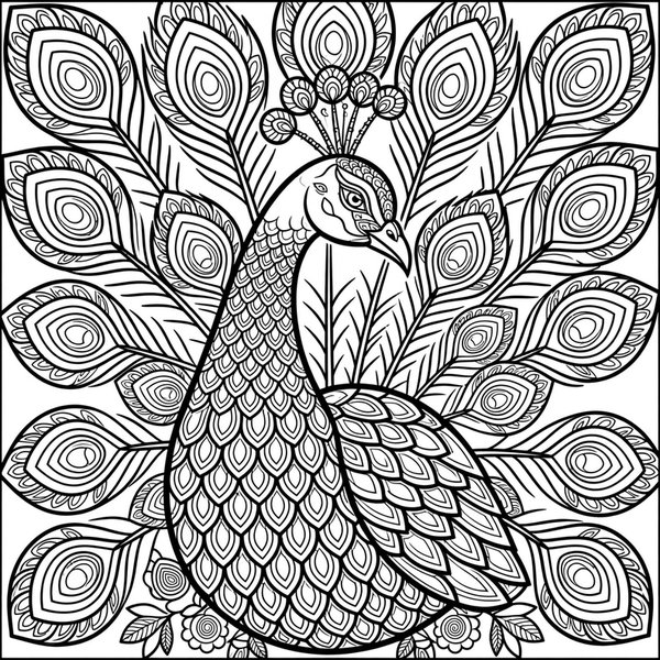 Peacock Splendor coloring page: A peacock with a fanned tail of patterned feathers.