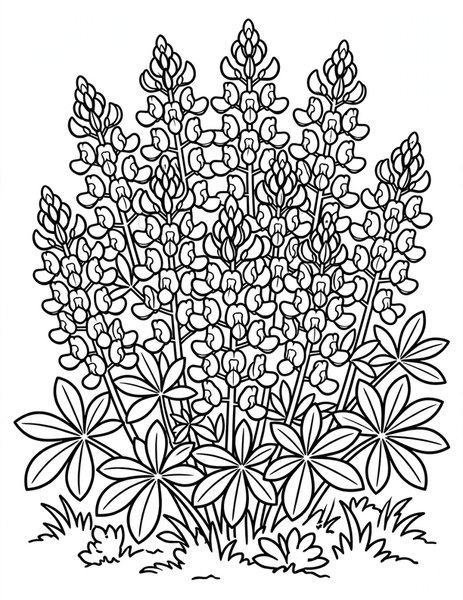 Bluebonnet Field coloring page