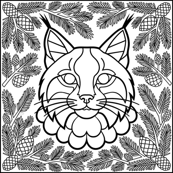 Lynx coloring page