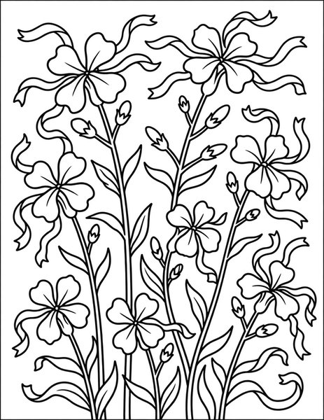 Clarkia Pink Ribbons coloring page: Clarkia ribbons flutter in soft pinks.