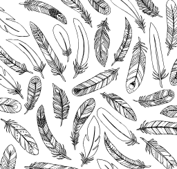 Feathers coloring page: A feather collage