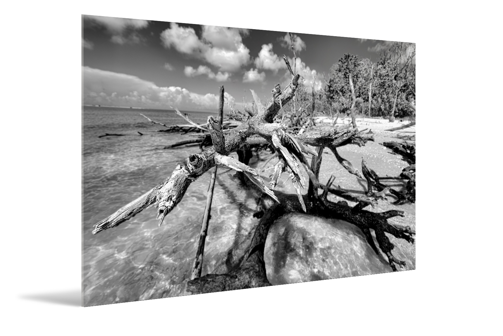 B&W, On the Island 