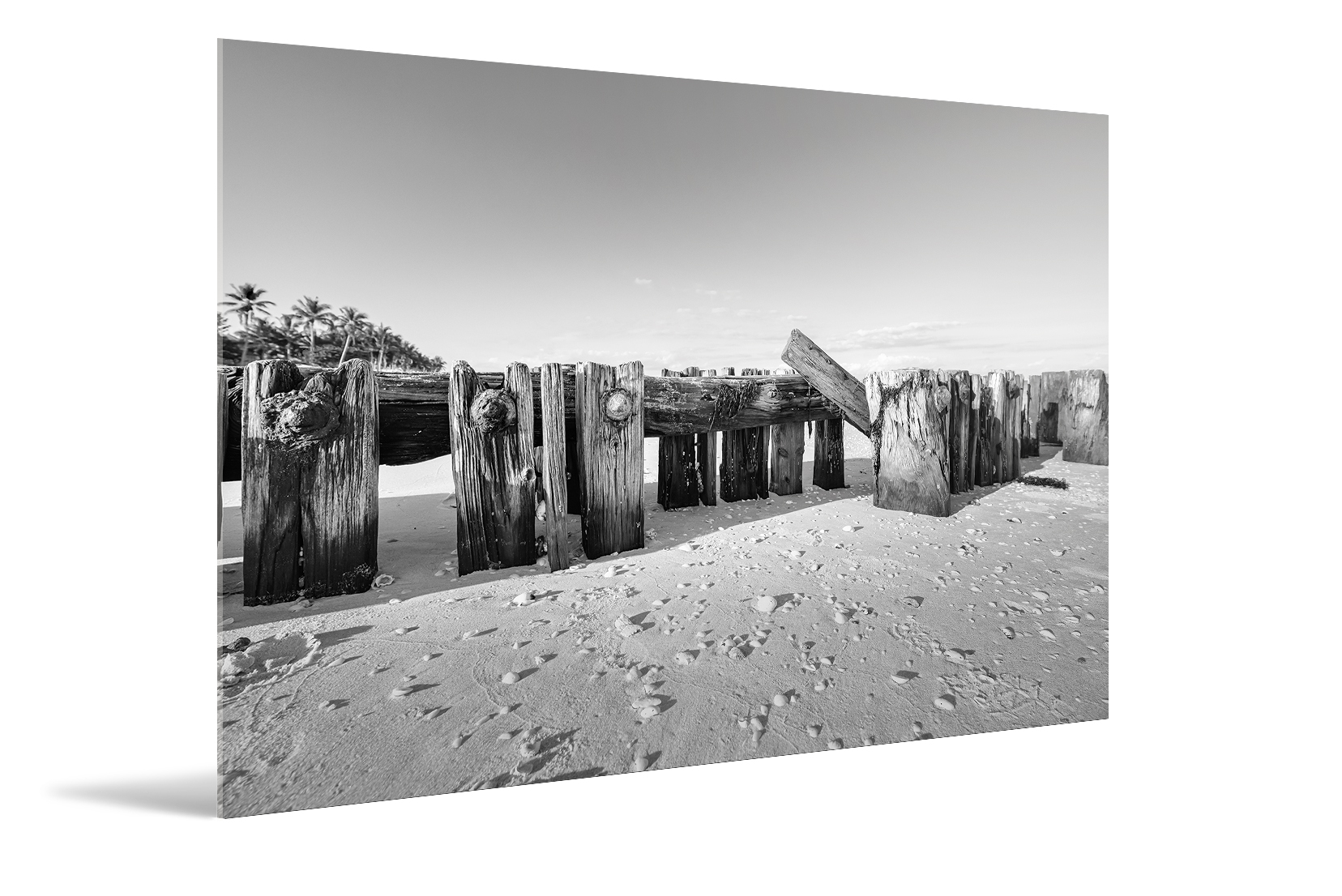 B&W, Naples Beach