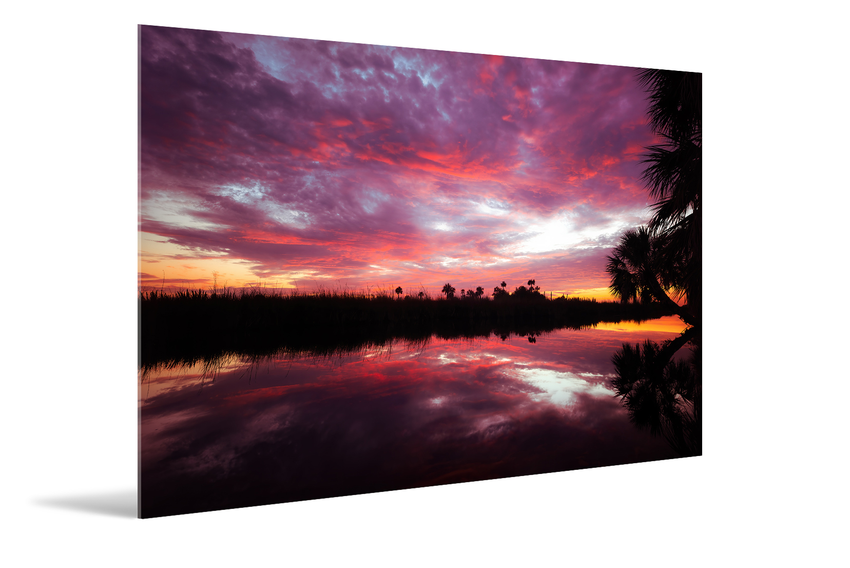 Everglades Florida, Sky on Fire 