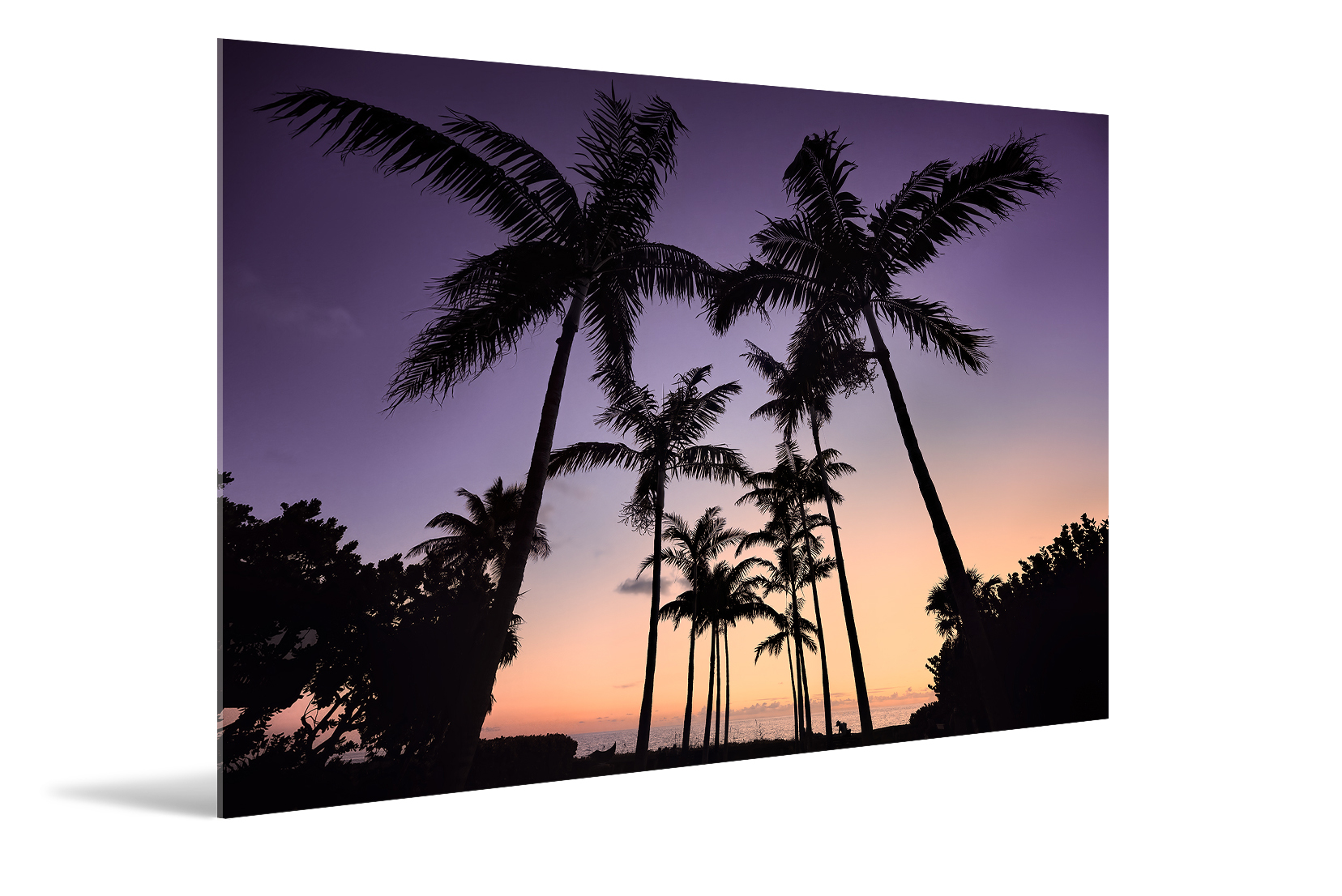 Coast, Purple Sunset