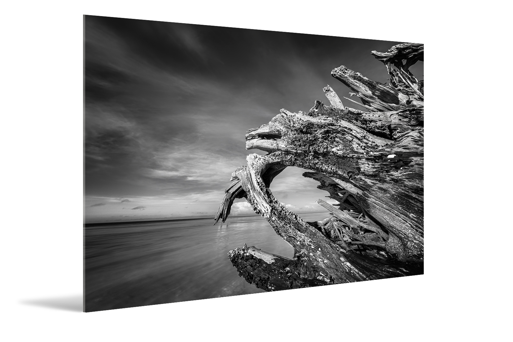 B&W, Wooden Sculpture I