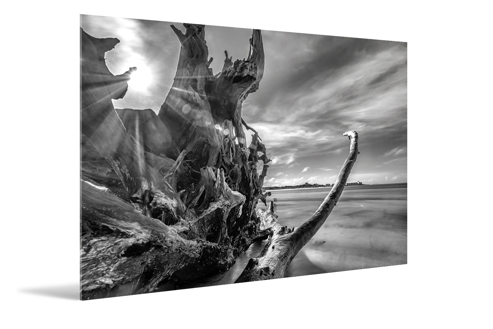 B&W, Wooden Sculpture III