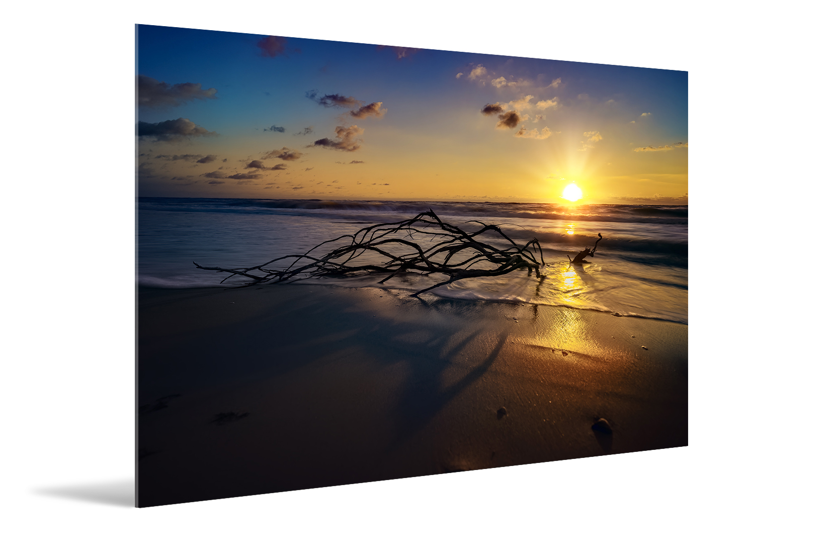 Golden Wiggins Park Beach