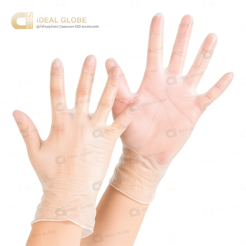 Vinyl Glove