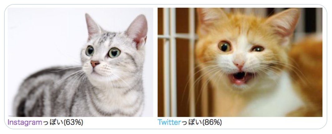 Instagramっぽい猫とTwitterっぽい猫