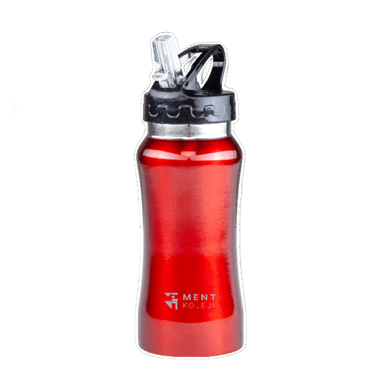 Çelik İnce Tasarım Termos 440 mL