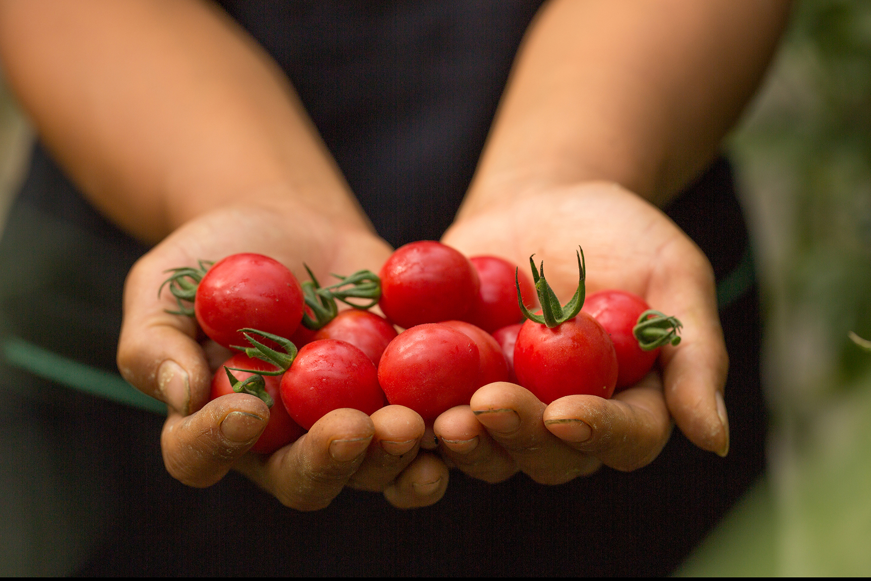 Building a new venture to restore trust in China’s food system