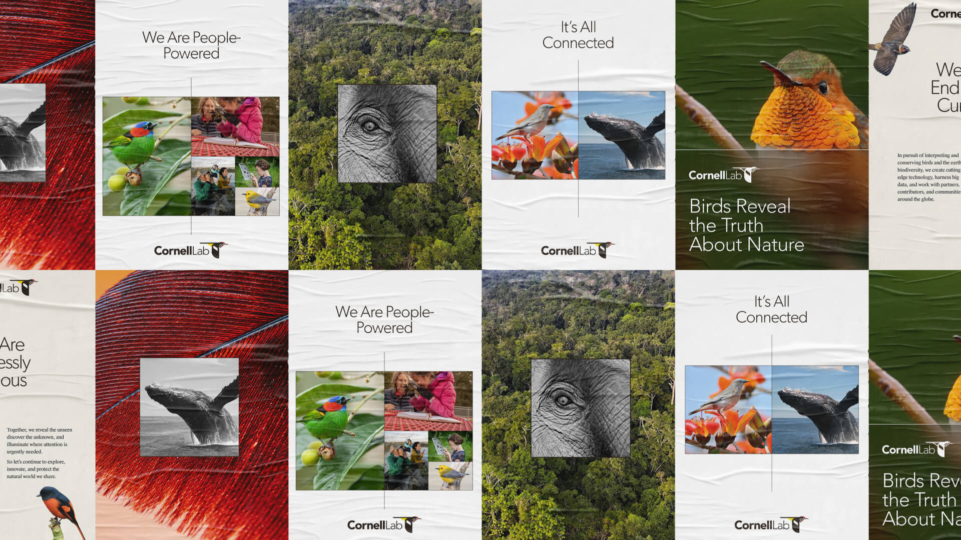 Brand as a conservation strategy