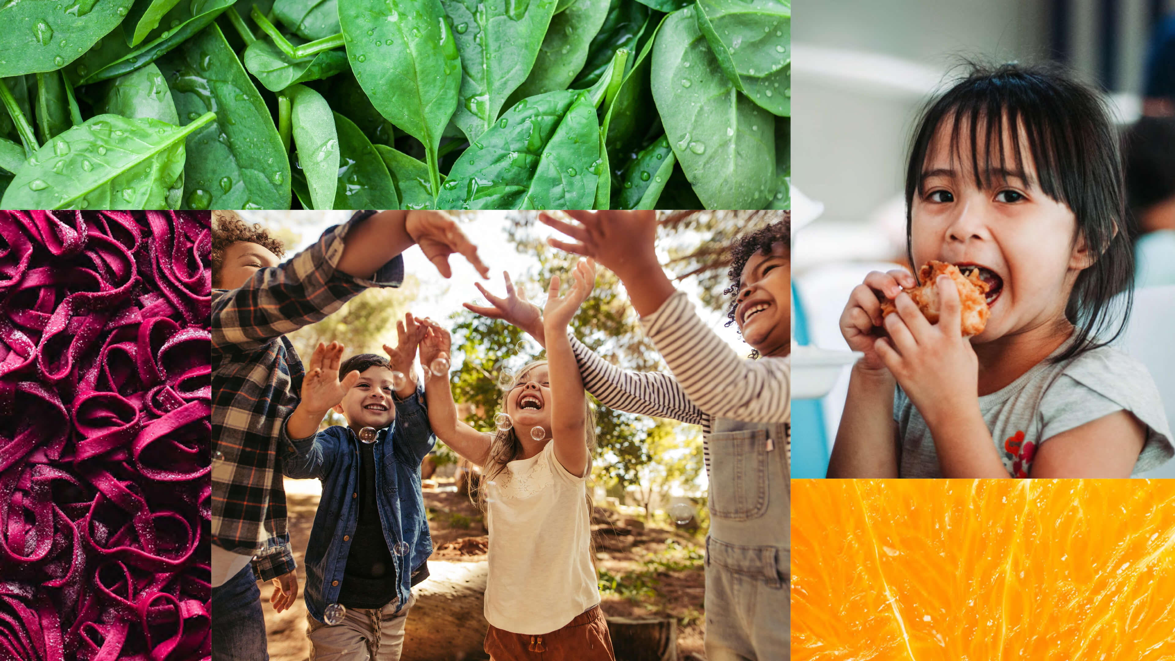 Nourishing the future