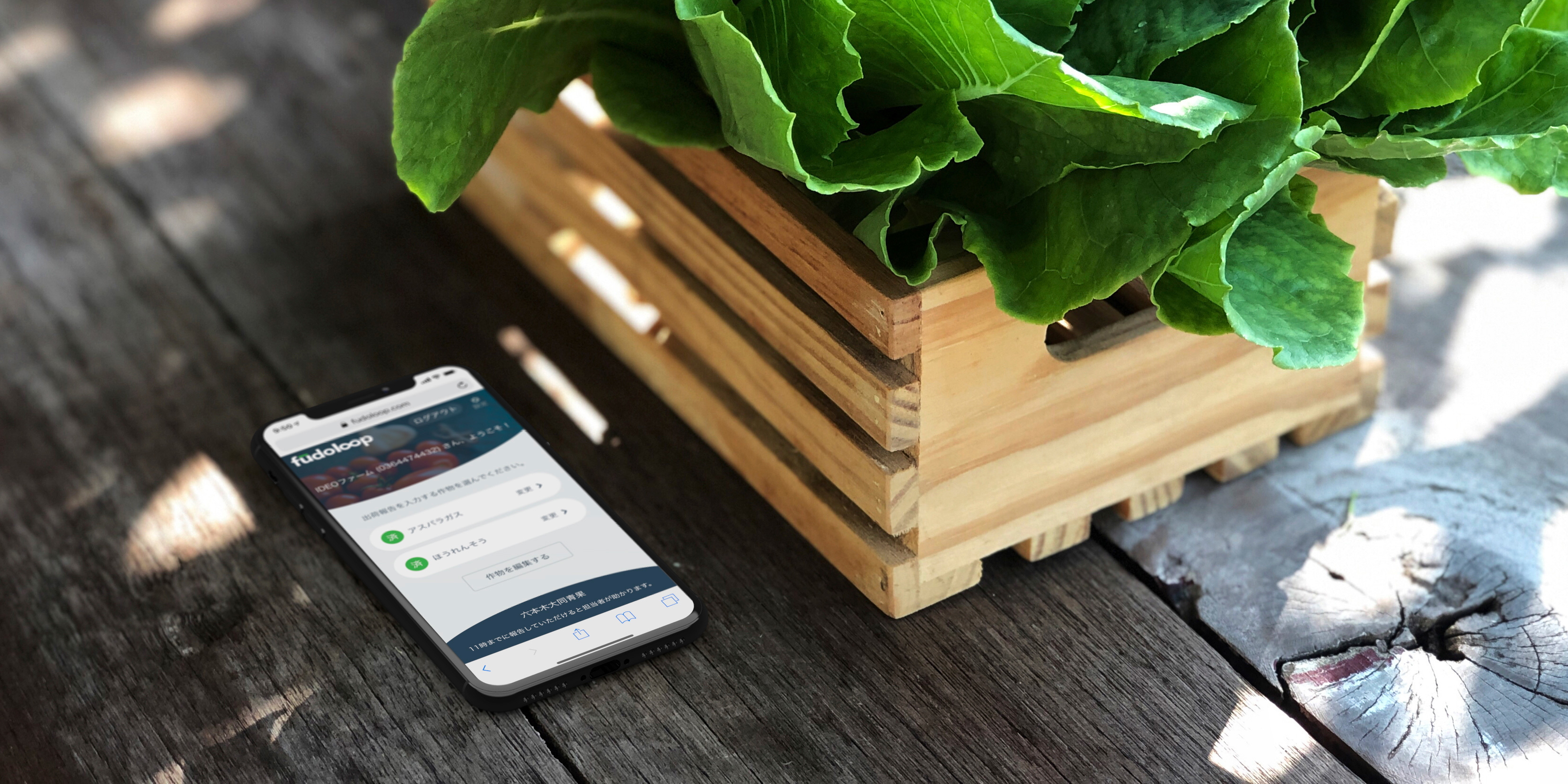 Revitalizing prefectural food industries through design and software