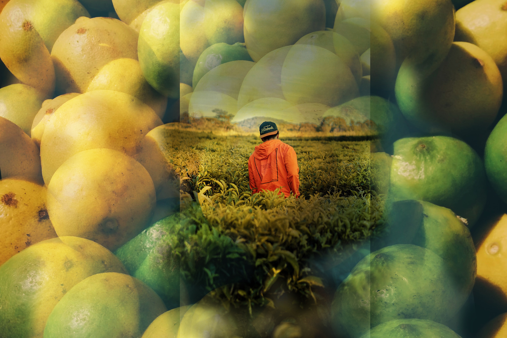 Eliminating hunger isn’t just about food, it’s about people