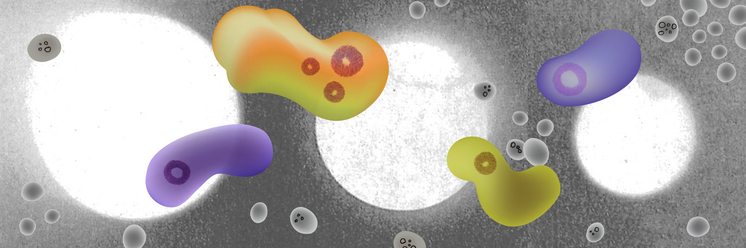 Escape Your Filter Bubble and Enhance Your Creativity