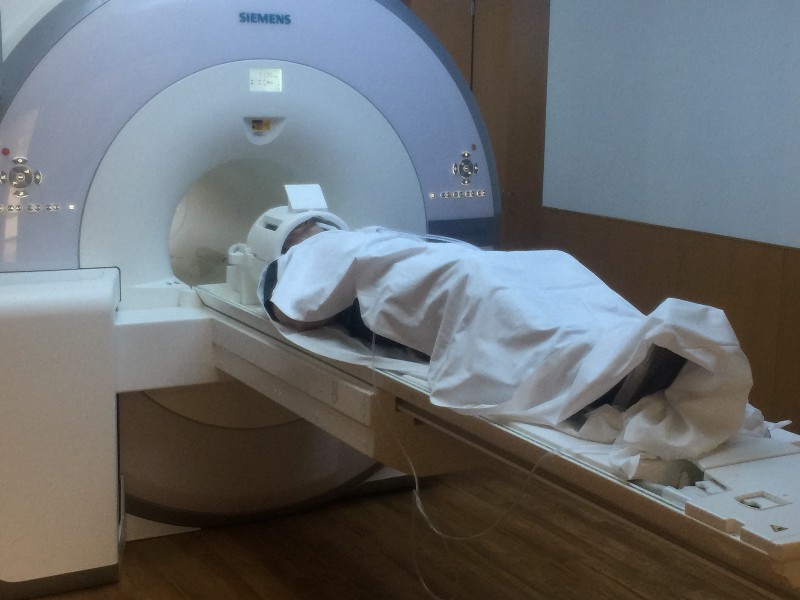 Inside the Brain Machine