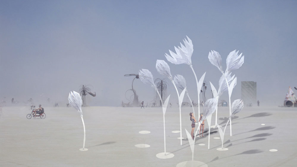 Planting an Interactive Flower Garden in the Middle of the Desert