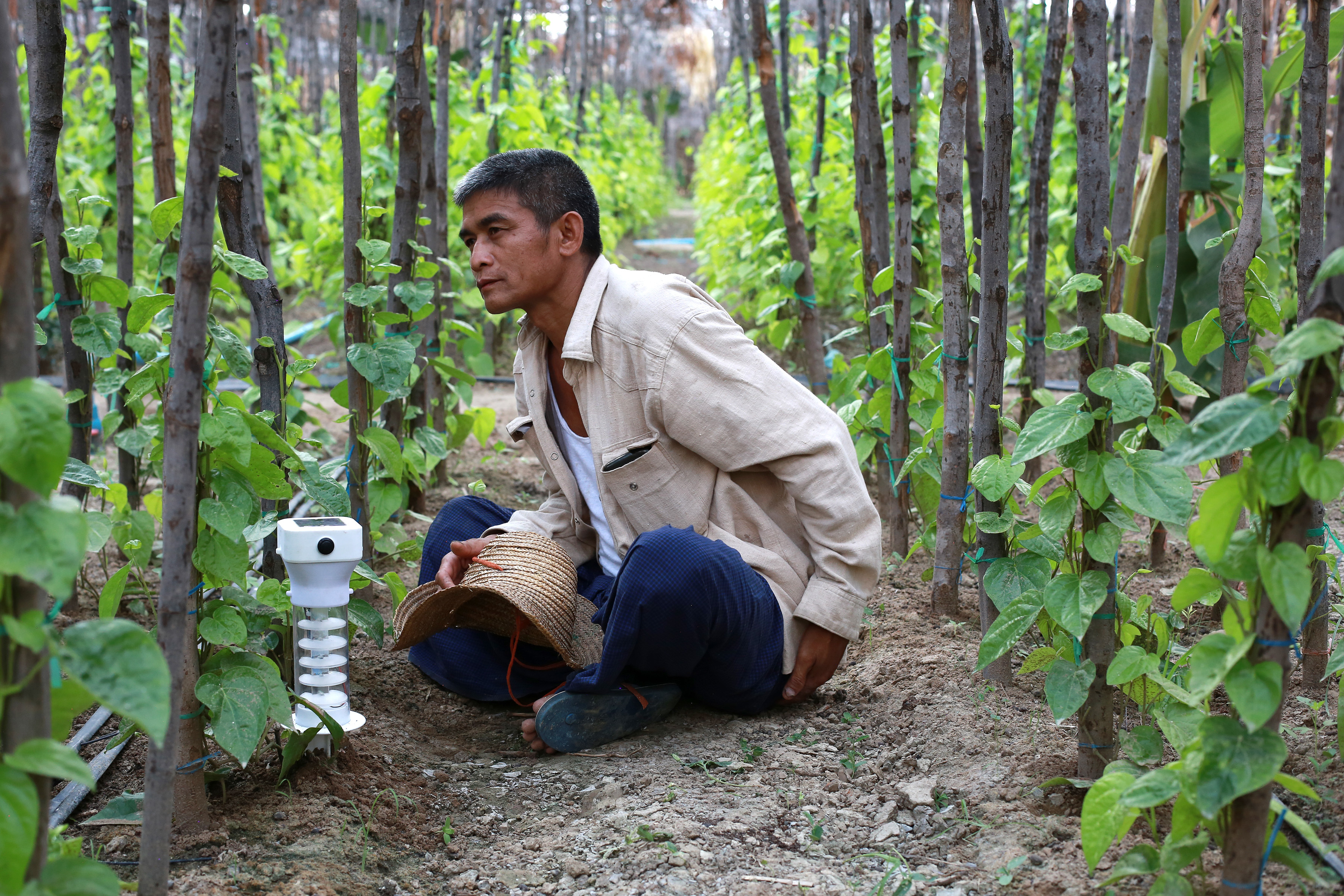 When Physical Met Digital in the Fields of Myanmar
