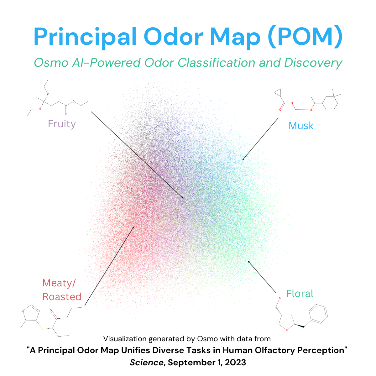principle odor map