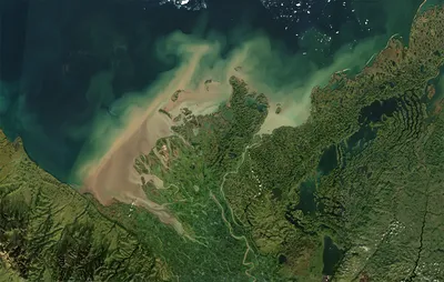 Delta du Yukon, Canada