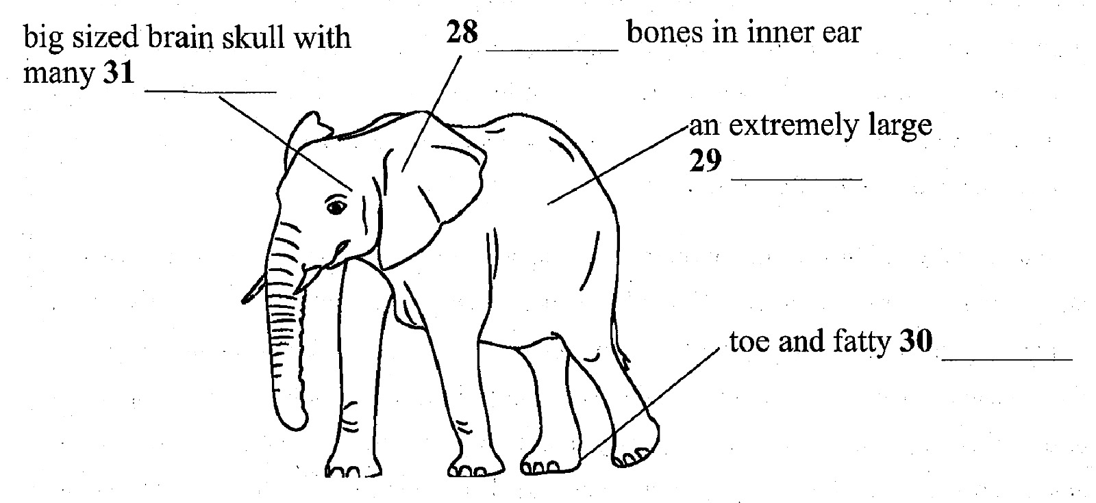 Question diagram