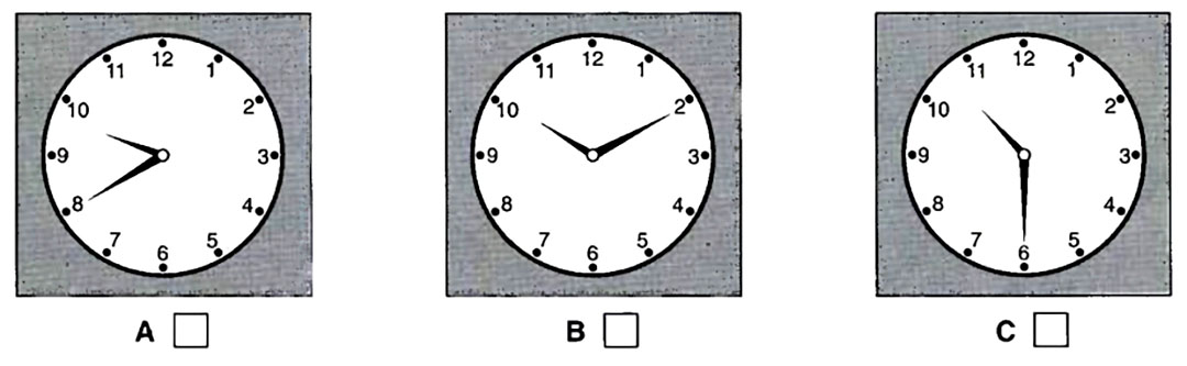 Hình lựa chọn cho bài nghe